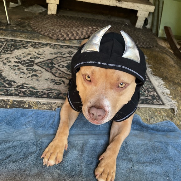 Meet your Posher, Kelly - Picture 7 of 10